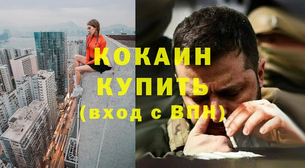 шишки Верхний Тагил