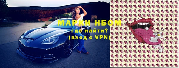 шишки Верхний Тагил